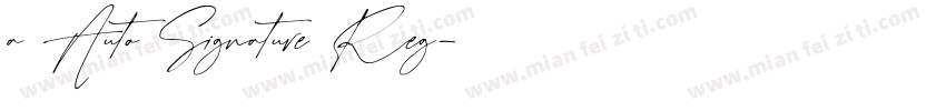 a Auto Signature Reg字体转换